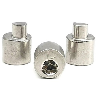 Niestandardowy sześciokątny ekscentryczny gwoździe 304 ze stali nierdzewnej Solid Flat Round Head Step Rivet Fastener Connector